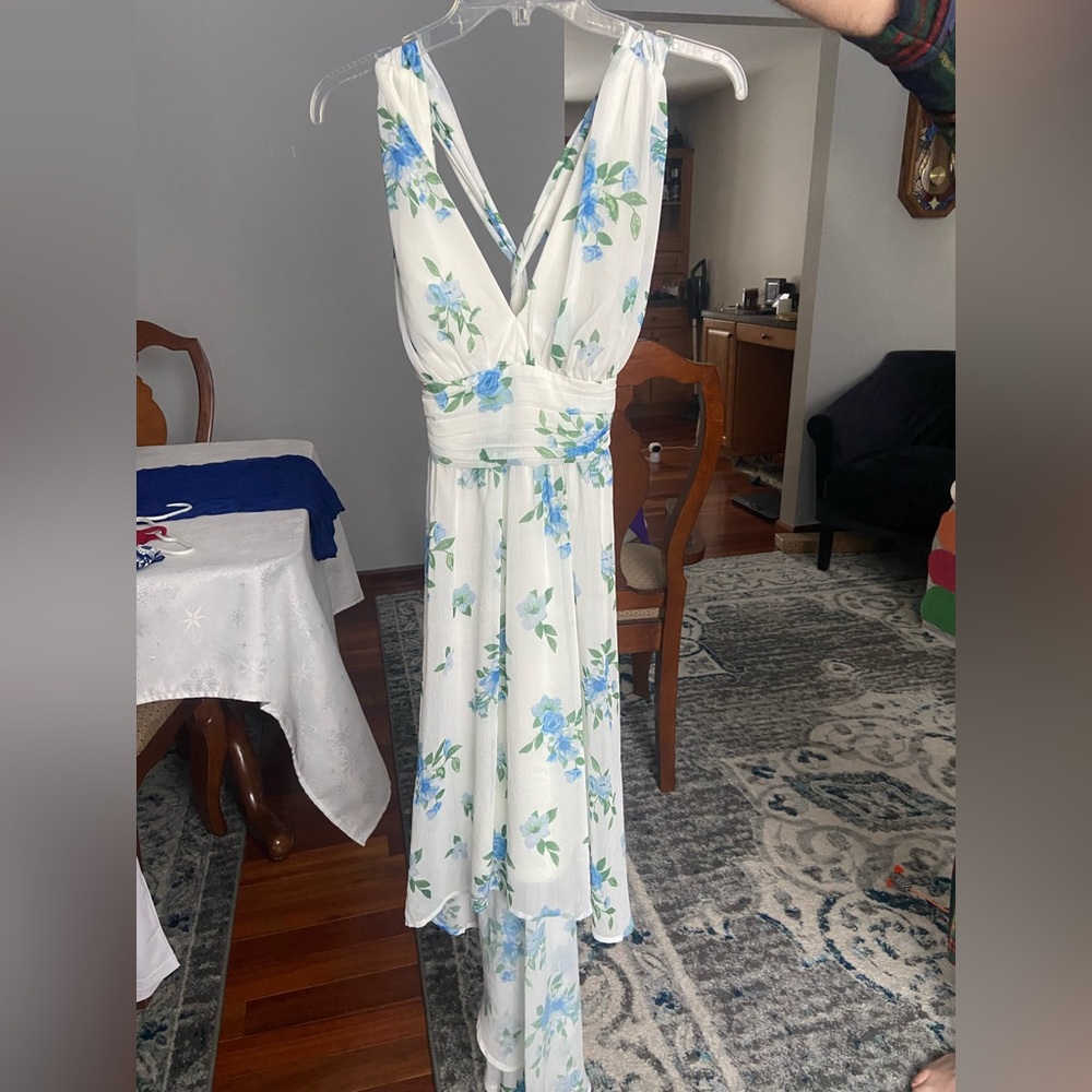 Floral Blue and White Women's Dress
